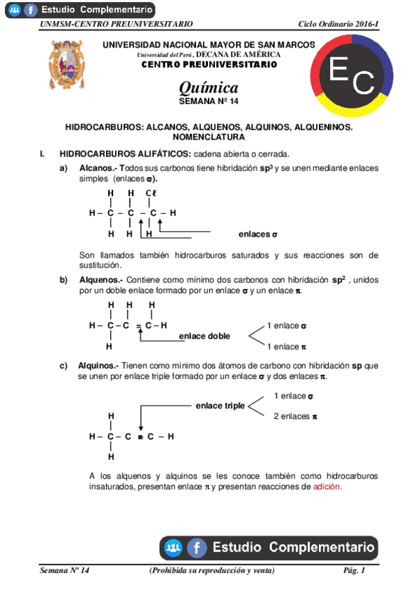 Miniatura del documento HIDROCARBUROS.pdf