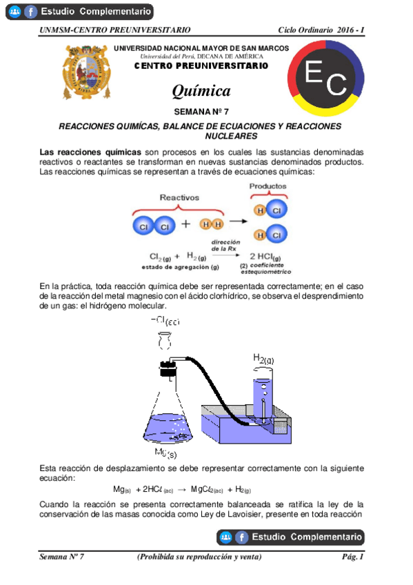 Miniatura del documento REACCIONES-QUIMICAS.pdf