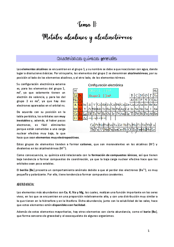 Miniatura del documento TEMA-11.pdf
