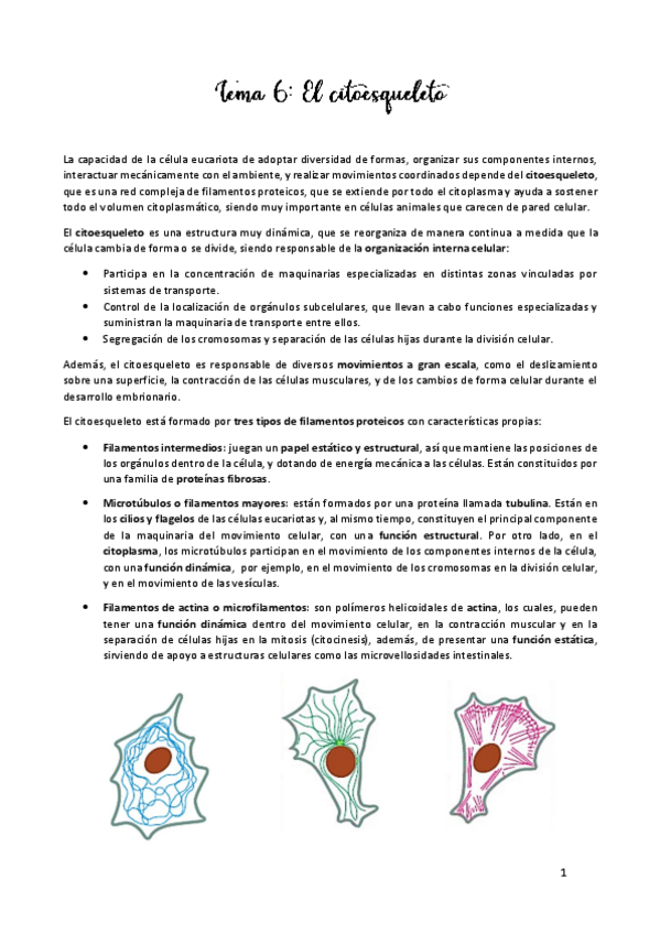 Miniatura del documento TEMA-6.pdf