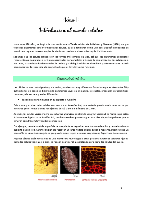 Miniatura del documento TEMA-1.pdf