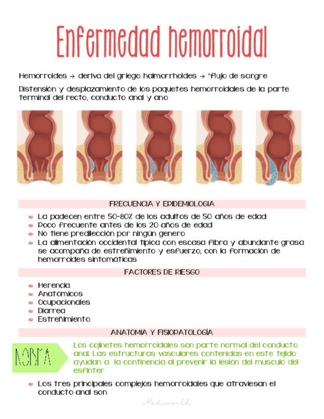 Miniatura del documento Enfermedad-hemorroidal.pdf
