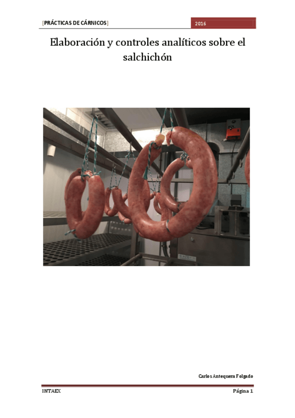 Miniatura del documento Elaboracion-y-controles-analiticos-sobre-el-salchichon.pdf