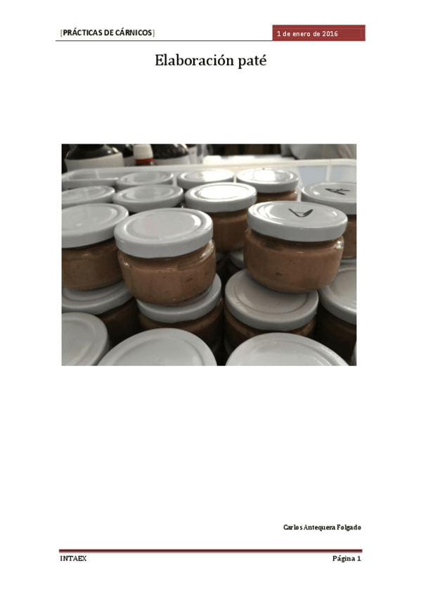 Miniatura del documento Elaboracion-pate.pdf