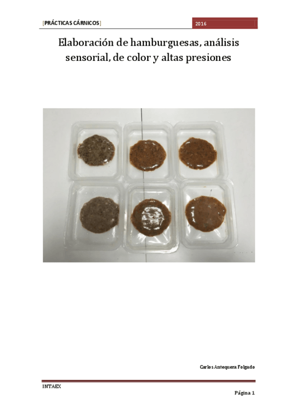 Miniatura del documento Elaboracion-de-hamburguesas.pdf