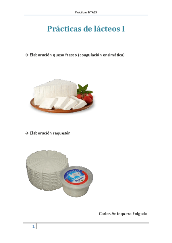 Miniatura del documento Practicas-de-lacteos-Queso-fresco-requeson-yogur-y-queso-fundido-CC.pdf