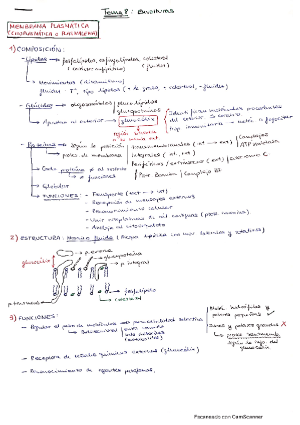 Miniatura del documento CamScanner-01-16-2022-11.pdf
