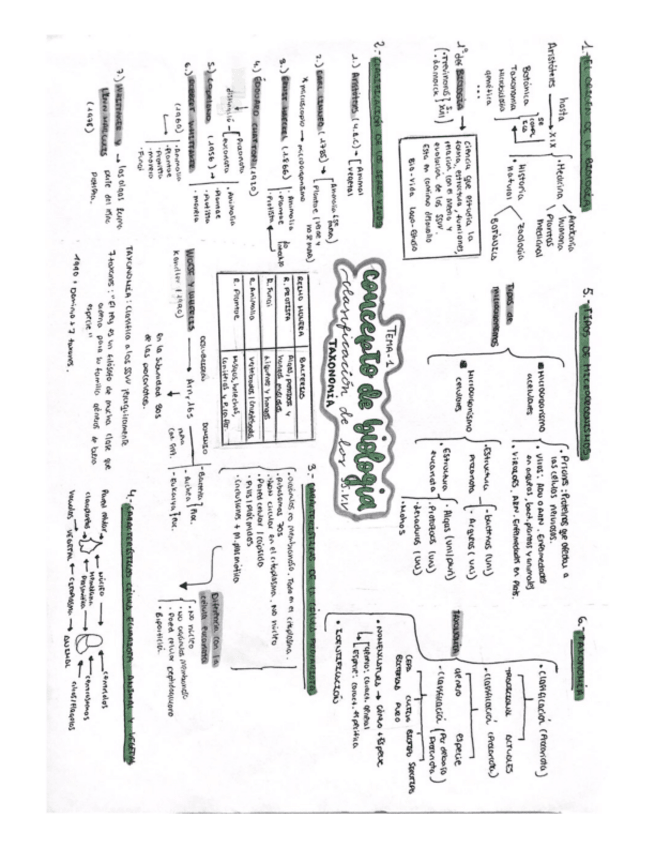 Miniatura del documento Mapa-conceptual-Tema-1-Concepto-de-la-biologia.pdf