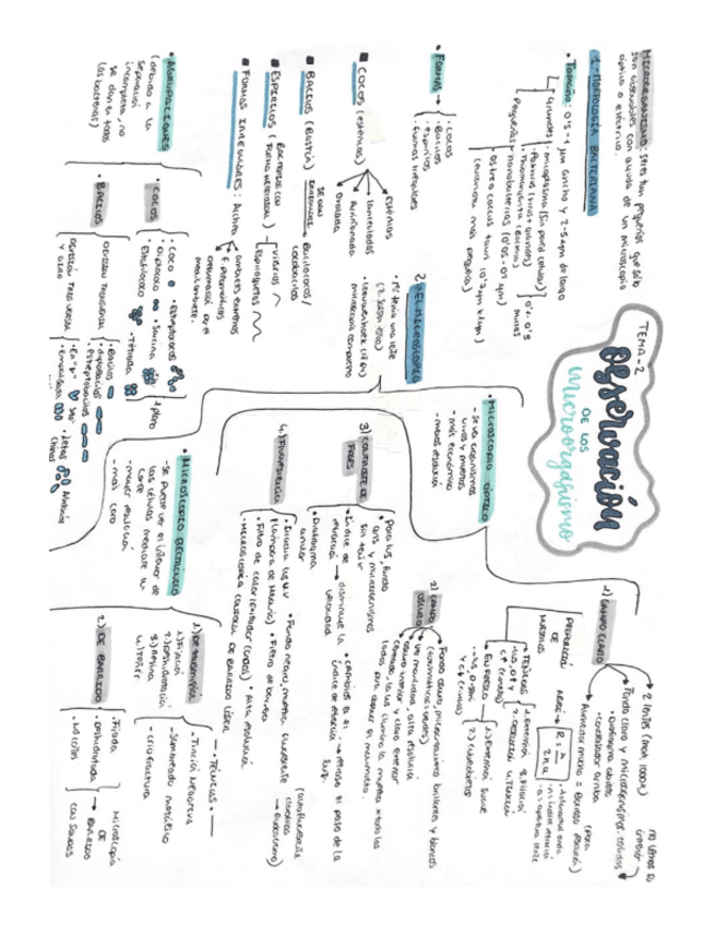 Miniatura del documento Mapa-conceptual-Tema-2-Observacion-a-los-microorganismos.pdf