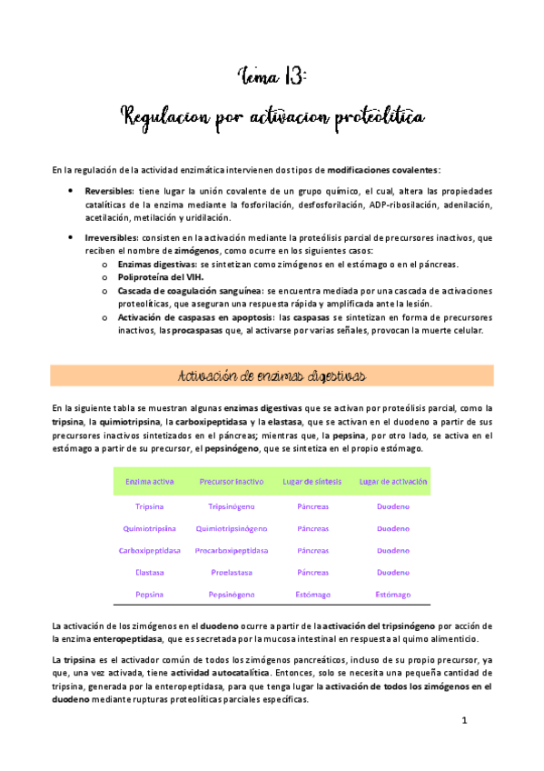Miniatura del documento TEMA-13.pdf