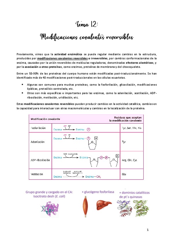 Miniatura del documento TEMA-12.pdf