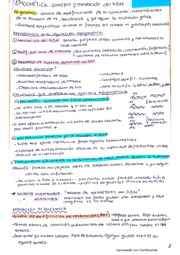 Miniatura del documento Tema-4-Genetica-completo.pdf