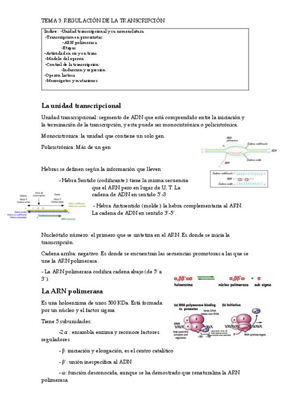 Miniatura del documento Tema3ParteI.pdf