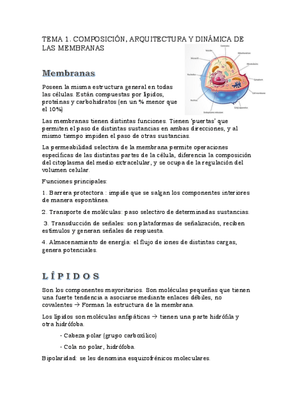Miniatura del documento Tema1.pdf