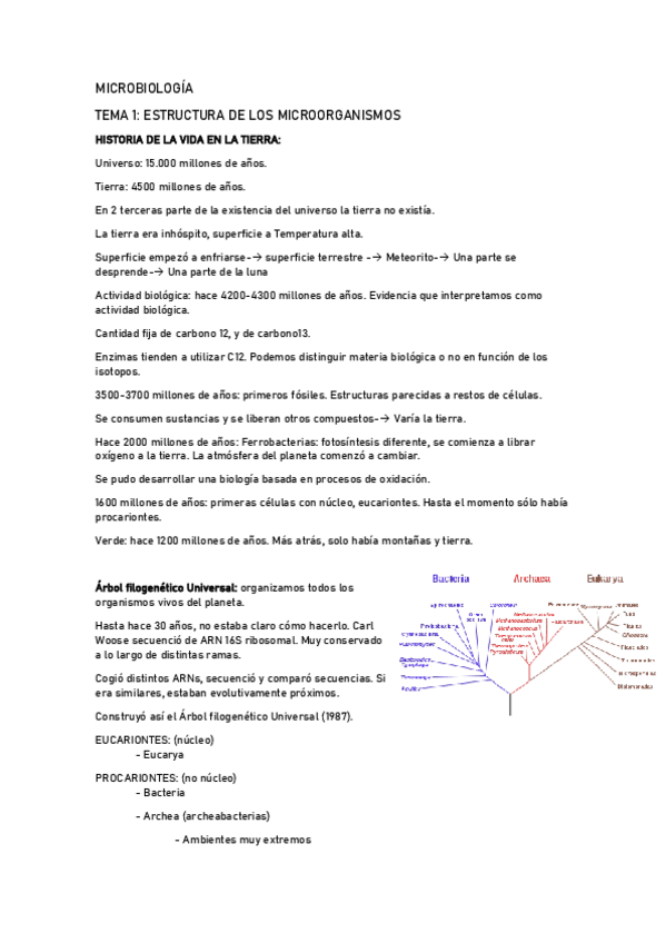 Miniatura del documento Tema1-Estructura-de-los-microorganismos.pdf