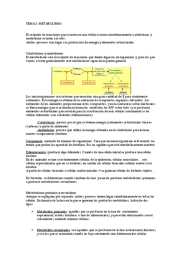 Miniatura del documento Tema2-Metabolismo.pdf