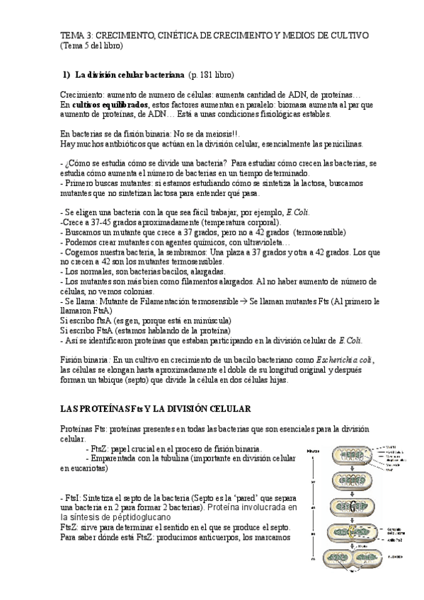 Miniatura del documento Tema3-.pdf