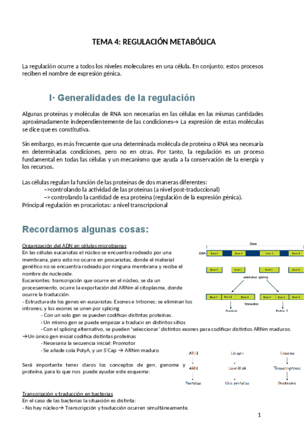 Miniatura del documento Tema4-REGULACION-METABOLICA.pdf