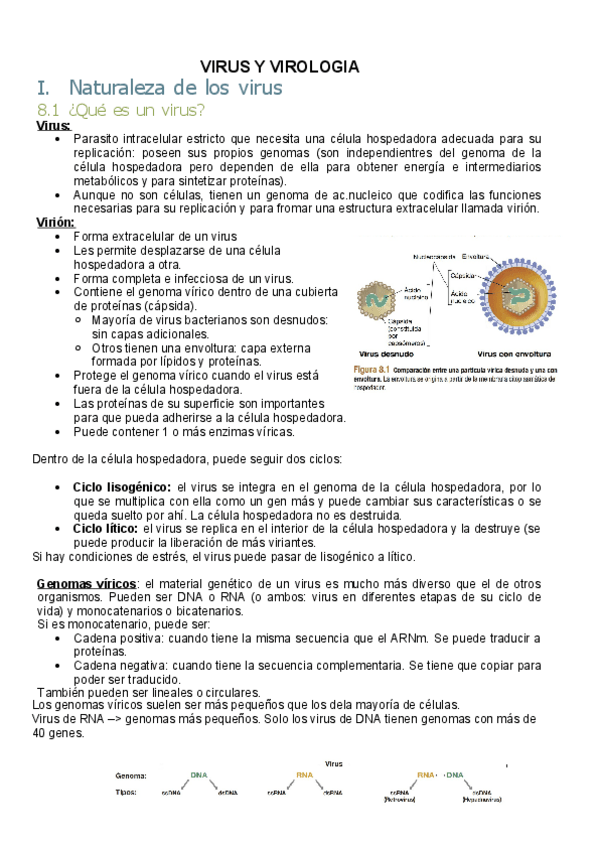 Miniatura del documento Tema5-VIRUS-Y-VIROLOGIA.pdf
