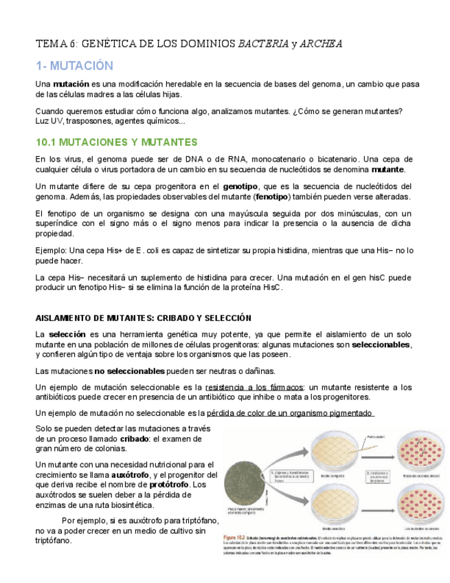 Miniatura del documento Tema6-Genetica-de-Bacteria-y-Archaea.pdf