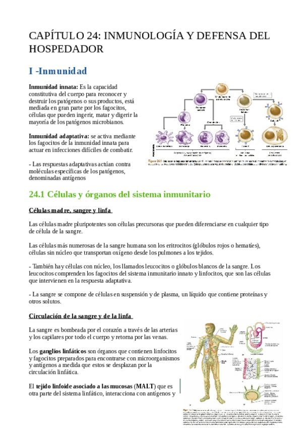 Miniatura del documento Tema8-Sistema-inmunologico.pdf