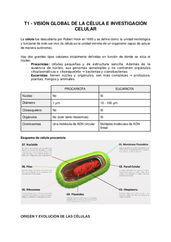 Miniatura del documento T1-VISION-GLOBAL-DE-LA-CELULA-E-INVESTIGACION-CELULAR.docx