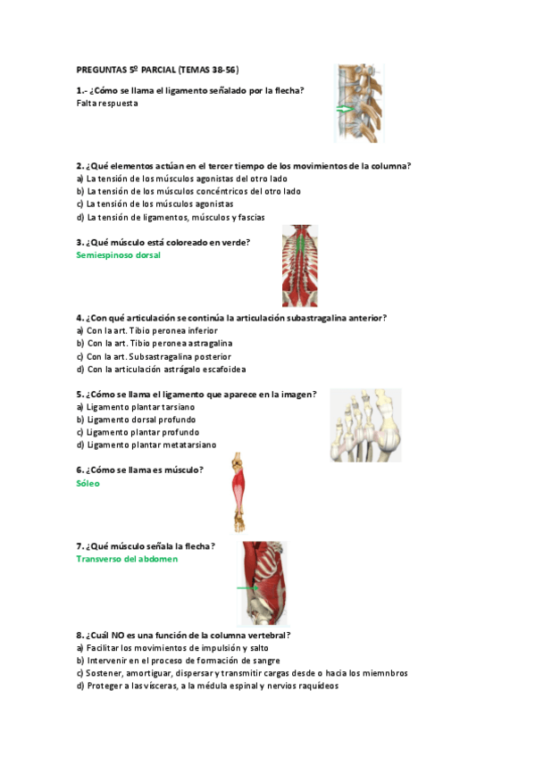 Miniatura del documento 5-parciales-de-anatomia-Carlos.pdf
