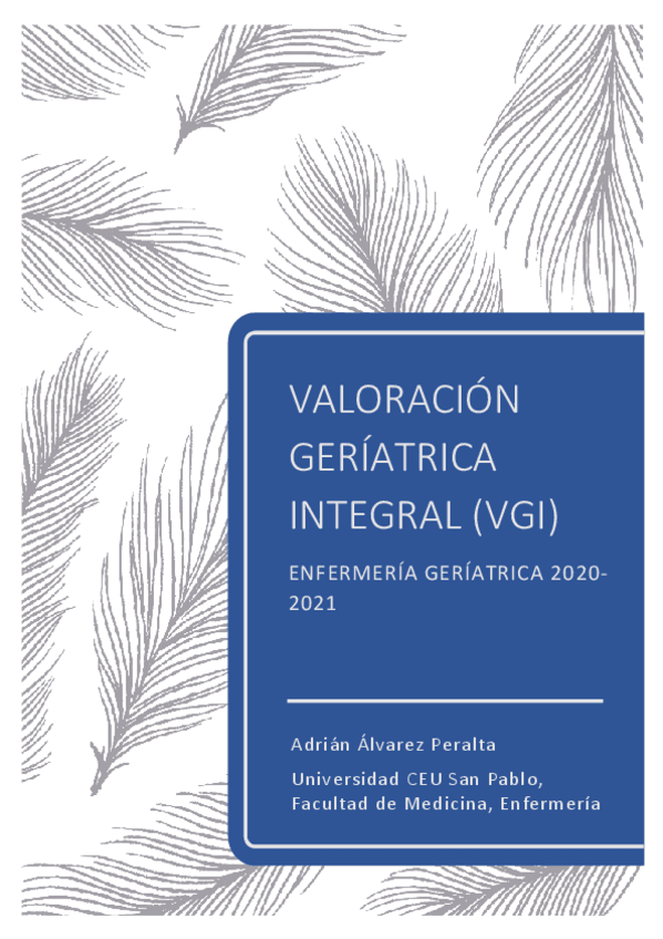 Miniatura del documento VGI-Adrian-Alvarez-Peralta.pdf