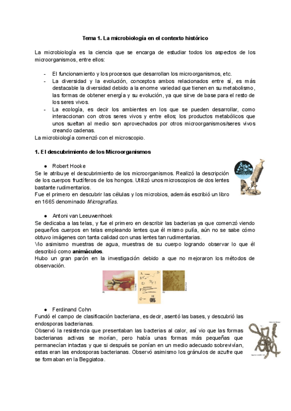 Miniatura del documento MICROBIOLOGIA.pdf