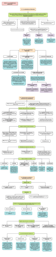 Miniatura del documento TEMA-5PLATAFORMAS-BILATERALES.pdf