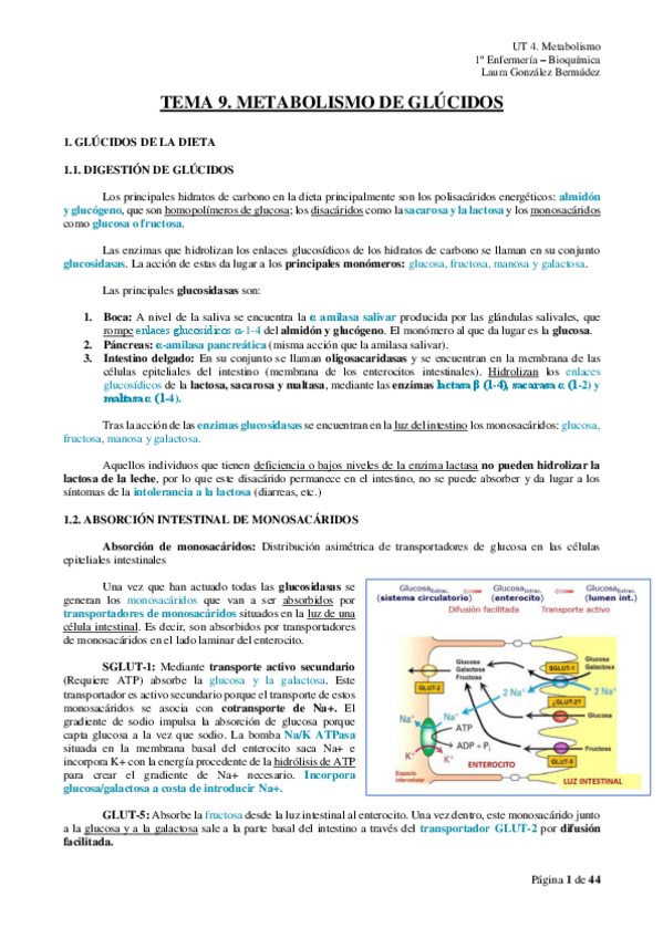 Miniatura del documento TEMA-9.pdf