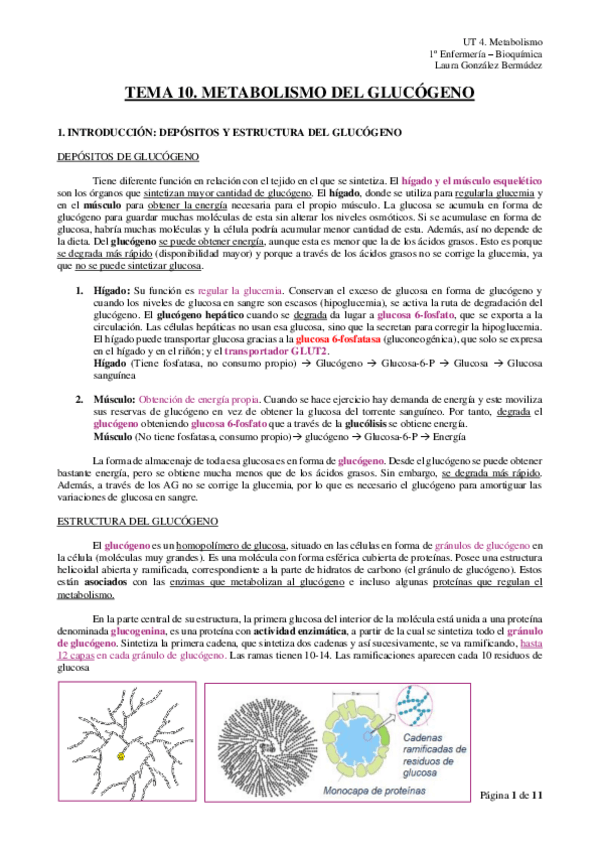 Miniatura del documento TEMA-10.pdf