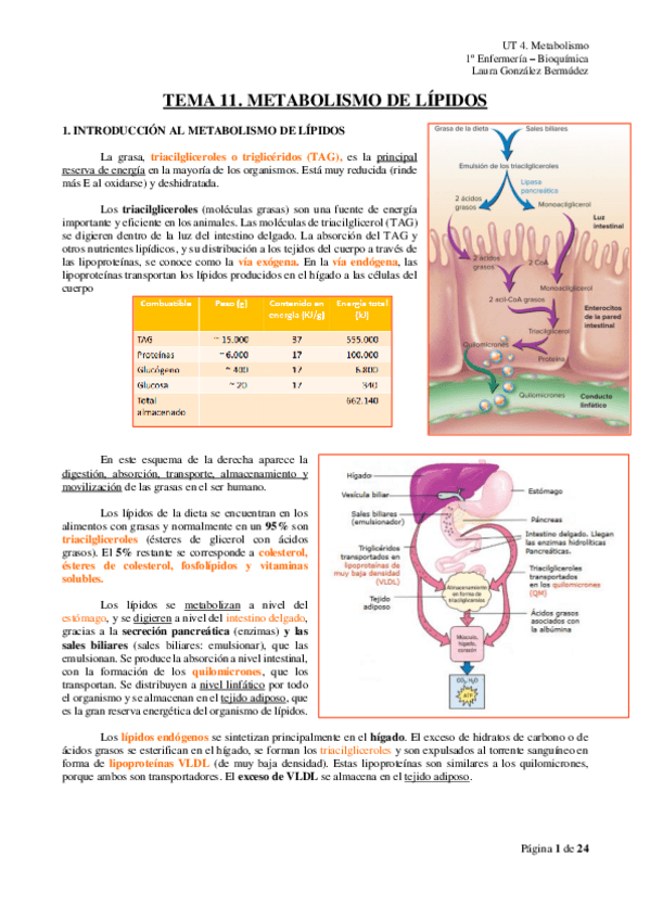 Miniatura del documento TEMA-11.pdf