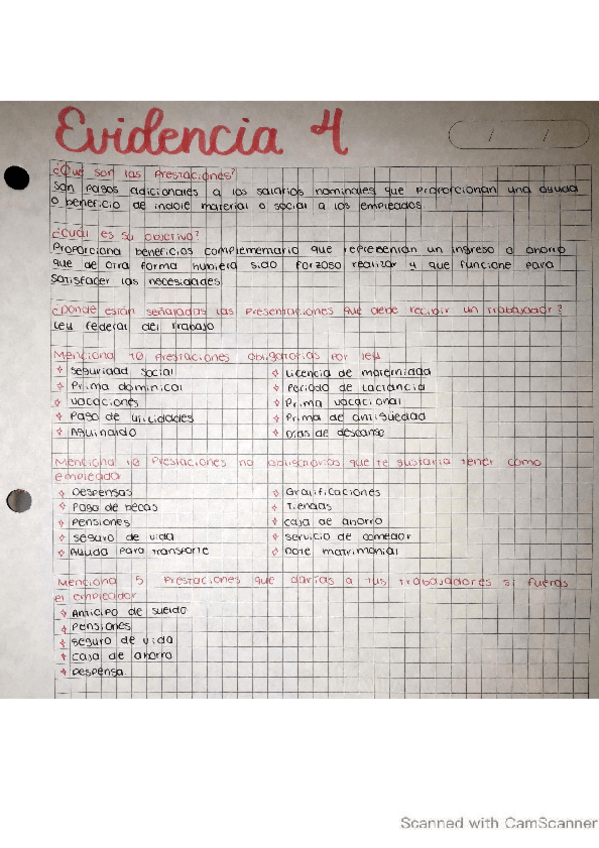 Miniatura del documento RLEvidencia4.pdf
