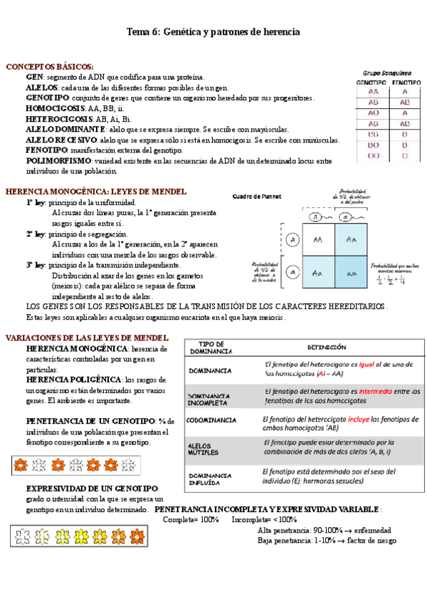 Miniatura del documento Tema-6-Genetica-y-patrones-de-herencia.pdf