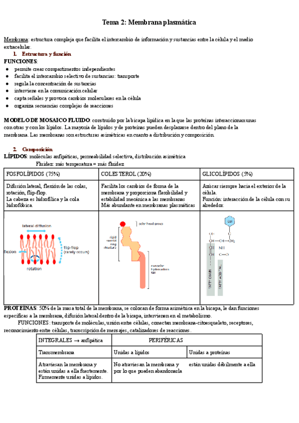 Miniatura del documento Tema-2-Membrana-plasmatica-.pdf