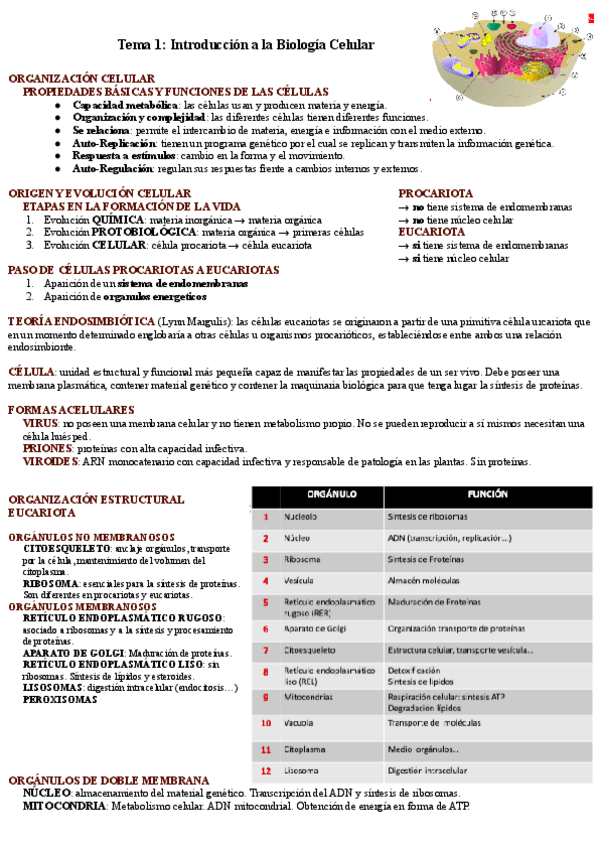 Miniatura del documento Tema-1-Introduccion-a-la-Biologia-Celular.pdf