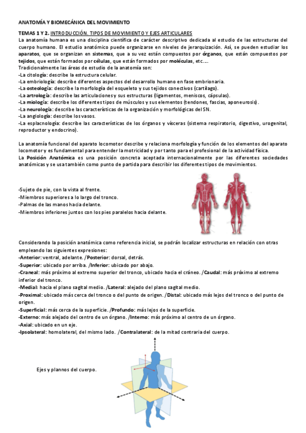 Miniatura del documento Resumen-anatomia-I-temas-1-6.pdf