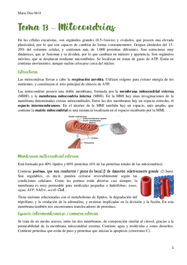 Miniatura del documento t13.pdf