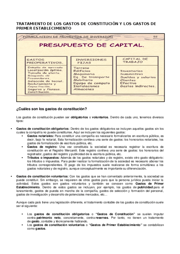 Miniatura del documento TRATAMIENTO-DE-LOS-GASTOS-DE-CONSTITUCION-Y-LOS-GASTOS-DE-PRIMER-ESTABLECIMIENTO.docx