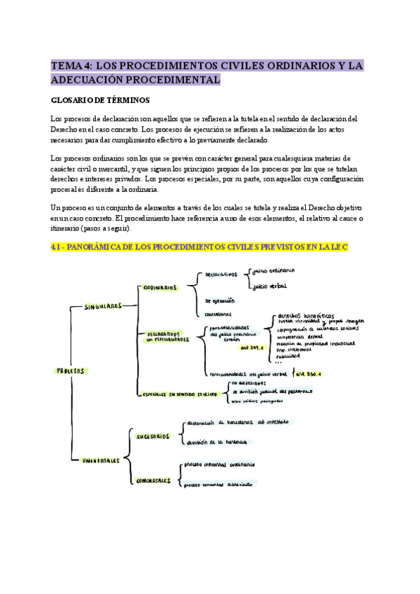 Miniatura del documento PROCESAL-tema-4.pdf