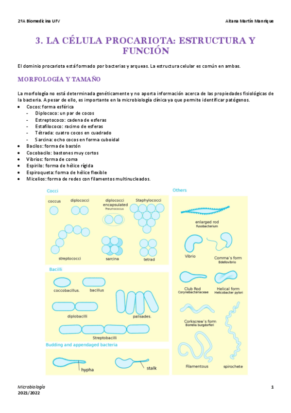 Miniatura del documento Tema-3-Celula-Procariota.pdf