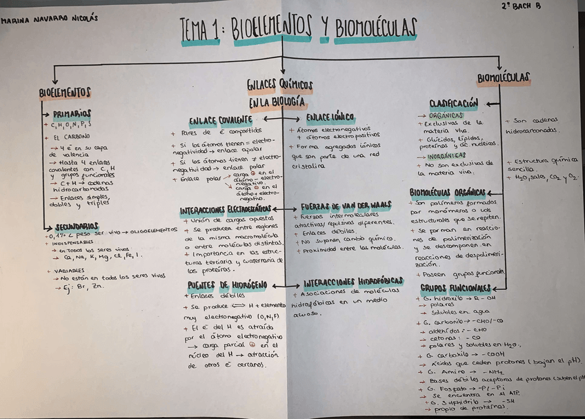Miniatura del documento ESQUEMAS-BIO-TEMAS-1-2-3-4.pdf