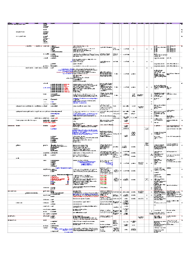 Miniatura del documento Clasifica...xlsx