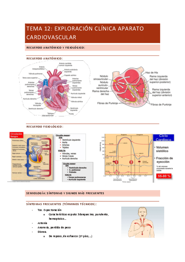 Miniatura del documento TEMA-12.pdf