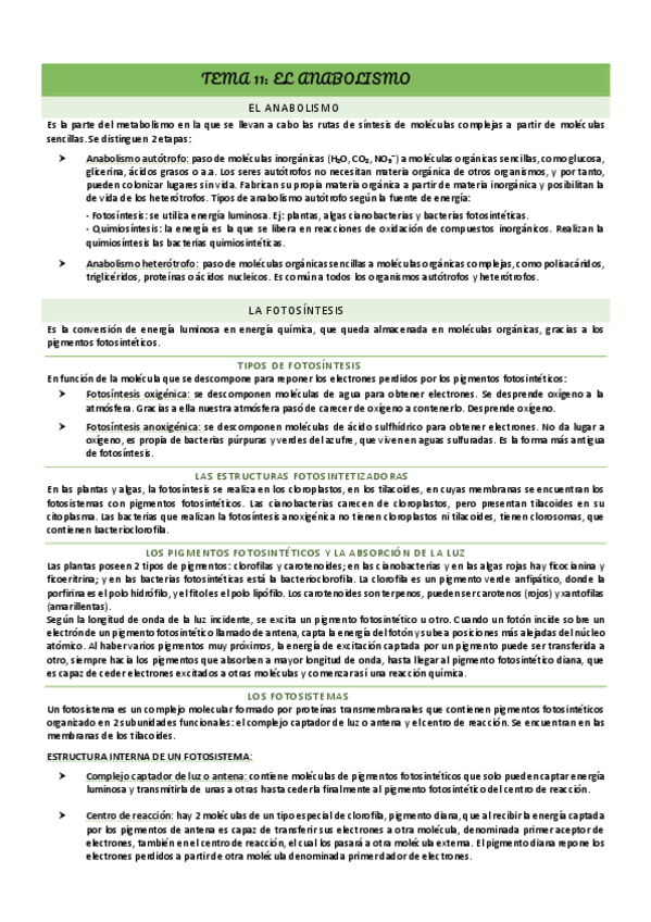 Miniatura del documento BIO-TEMA-11.pdf
