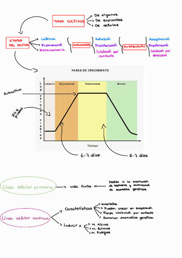 Miniatura del documento Cultivos-Celulares-BMC-Tema-2.pdf
