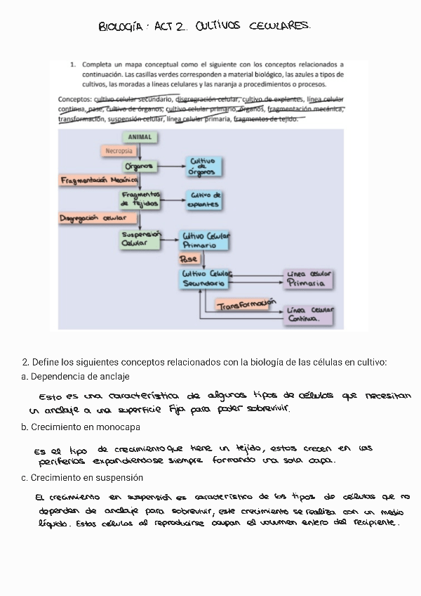 Miniatura del documento BIOLOGIA-ACTIVIDAD-2-CULTIVOS-CELULARES.pdf