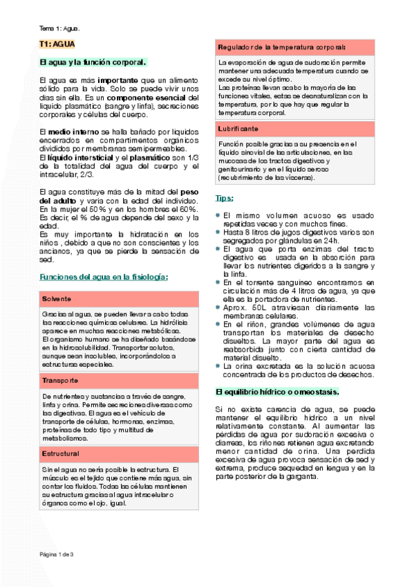 Miniatura del documento T1-El-agua.pdf