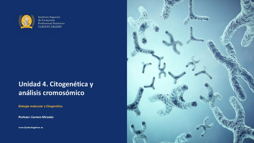 Miniatura del documento Unidad-4.pdf